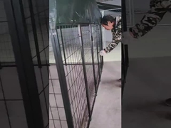 6FT 높이 용접 된 강철 개 키널 파우더 코팅 된 개 러닝 하우스