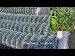 전자기 젤리화 다이아몬드 와이어 메시 2인치 체인 링크 농장 울타리