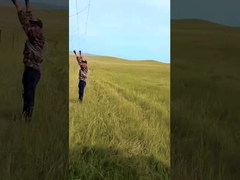 핫 디프 가유 가축 울타리 패널 8 피트 높이 고정 넥타이 사슴 철망 울타리