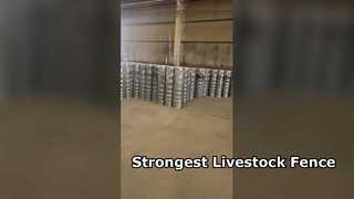 가축 말을 위한 강력한 가축 울타리
