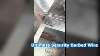 25kg 아연 도금 철조망 보안 울타리