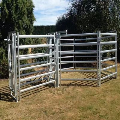 10 Foot Galvanized Pipe Portable Cattle Farm Fence Panel