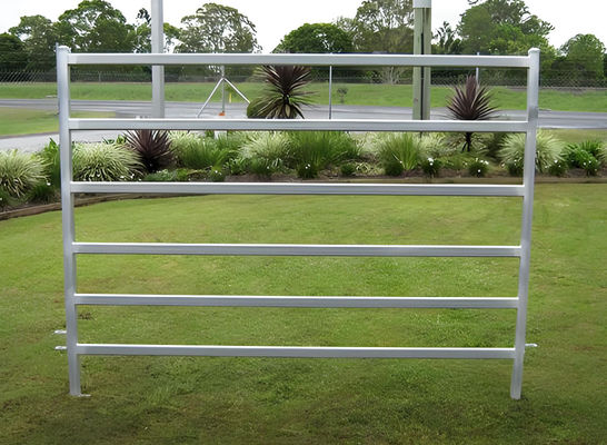 6 Feet High Hot Dipped Galvanized Sheep Corral Panels Carbon Steel 