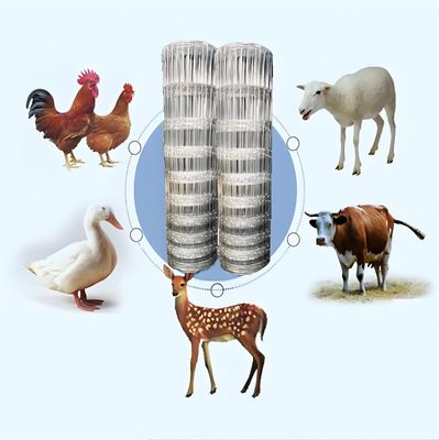 2.0MM 고강도 아연 도금 와이어 농장 가축 울타리 채소 정원 네팅 표면 처리