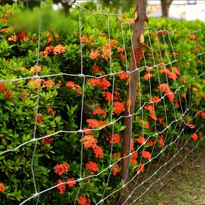 1.8MM 선무선 가솔린 고정 매듭 가솔린 고정 매듭 가솔린