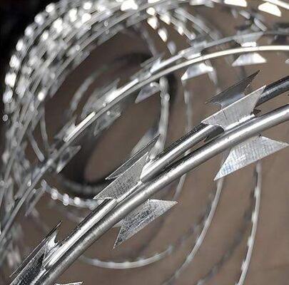 Stainless Steel CBT-65 Razor Security Barbed Wire Coil Corrosion Resistant For Coastal Farm